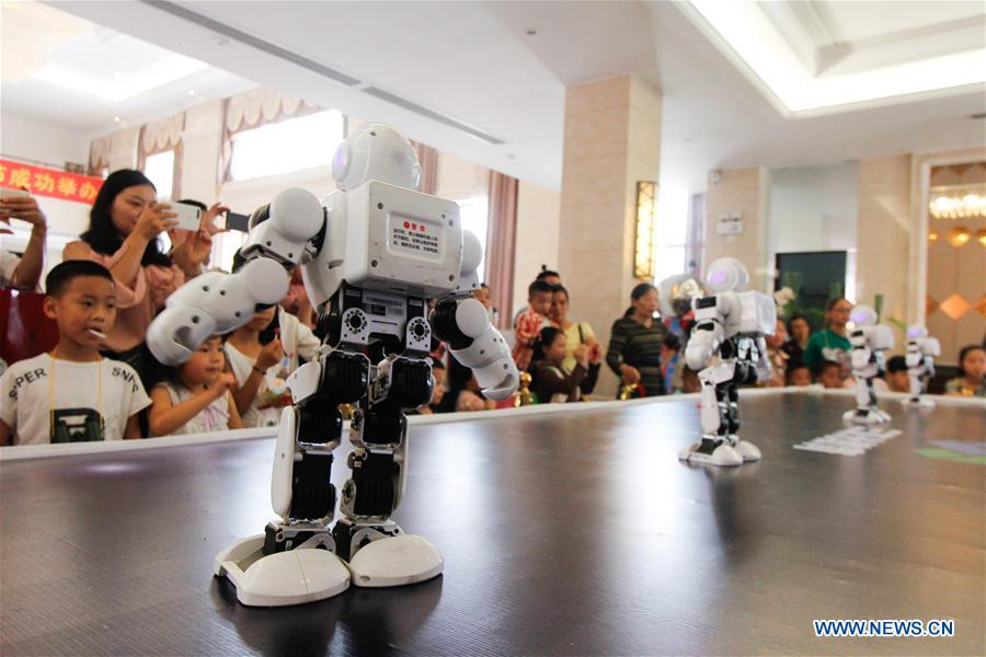 Youth Robot Festival Held in